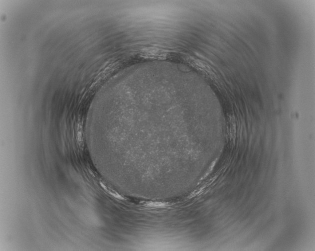 X0000070211154200606161634