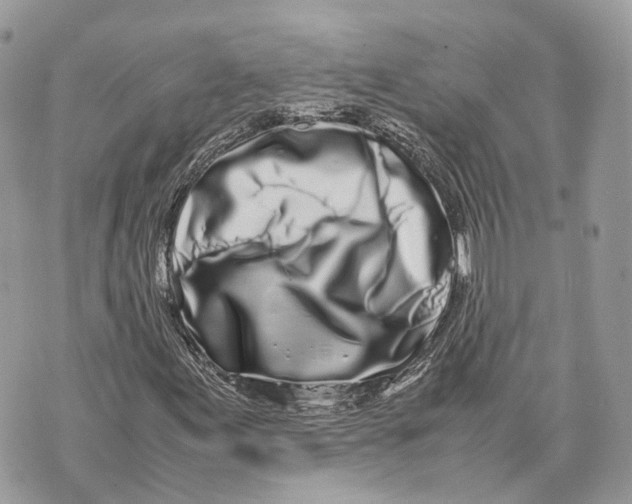 X0000070211155200606161634