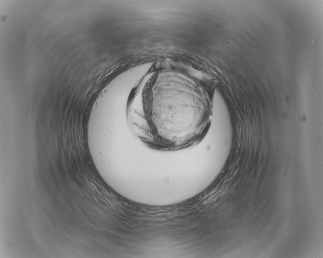 X0000070211156200606161634