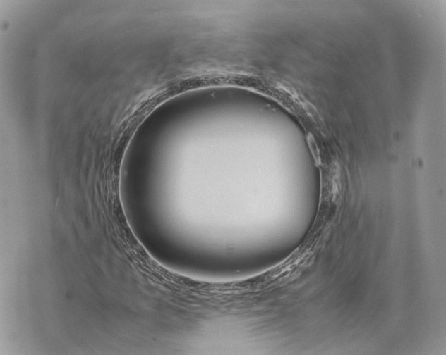 X0000070211157200606161634