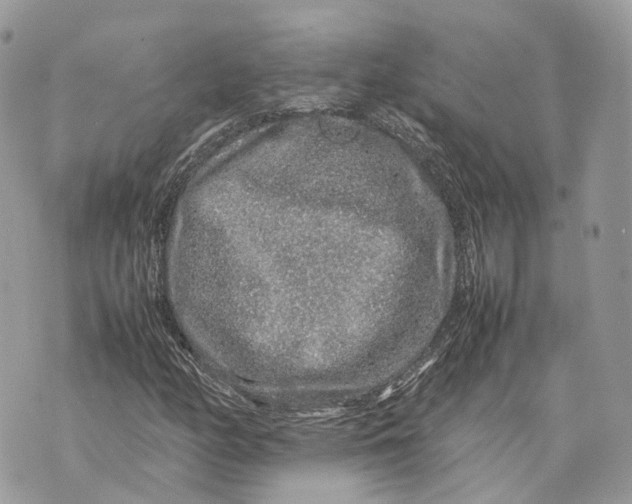 X0000070211158200606161634