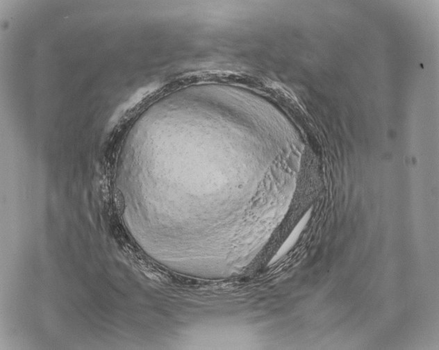 X0000070211159200606161634