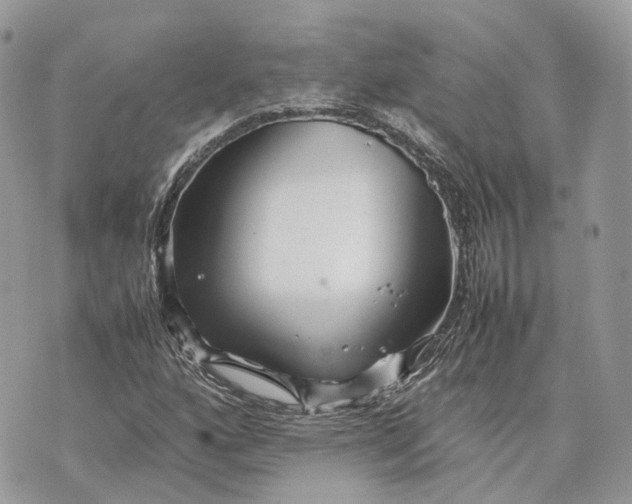 X0000070211160200606161634