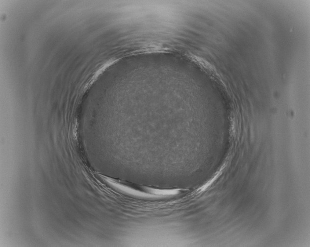 X0000070211161200606161634