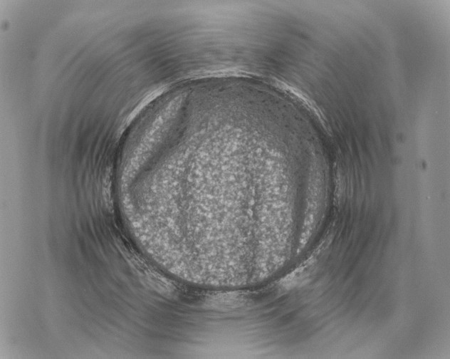 X0000070211162200606161634