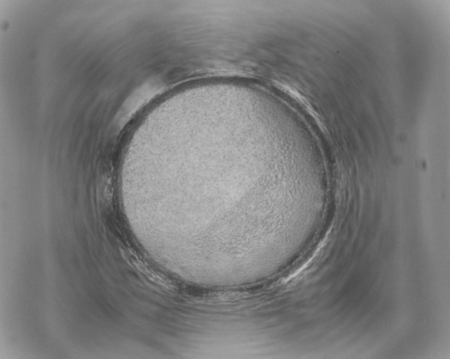 X0000070211163200606161634