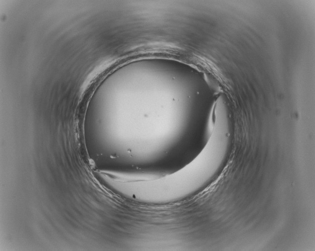 X0000070211164200606161634