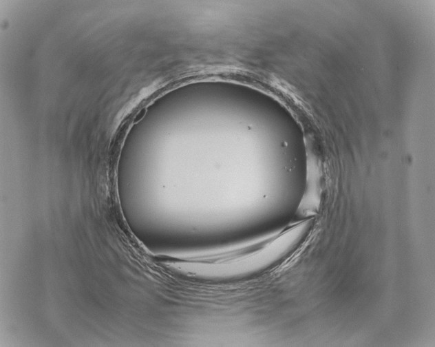 X0000070211165200606161634