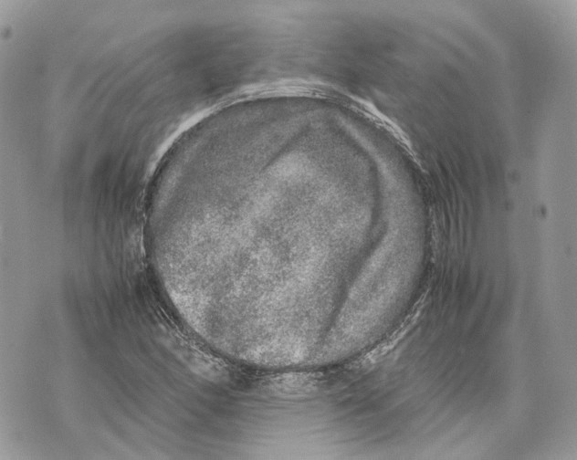 X0000070211166200606161634