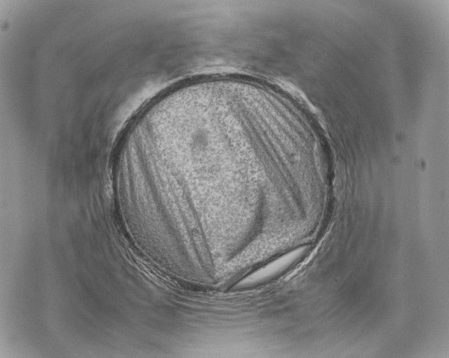 X0000070211167200606161634