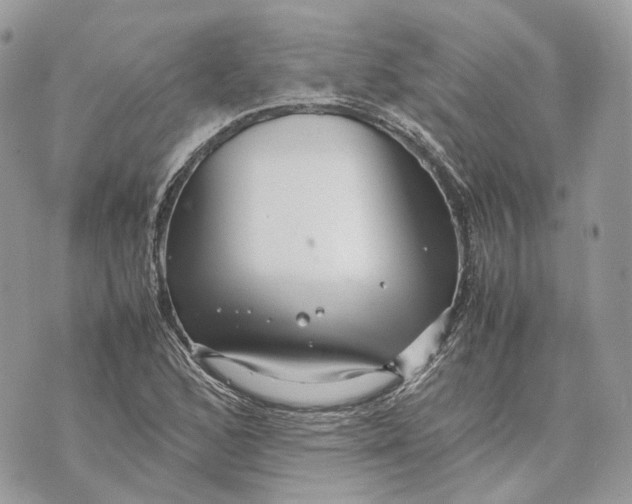 X0000070211168200606161634