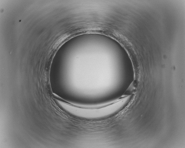 X0000070211169200606161634