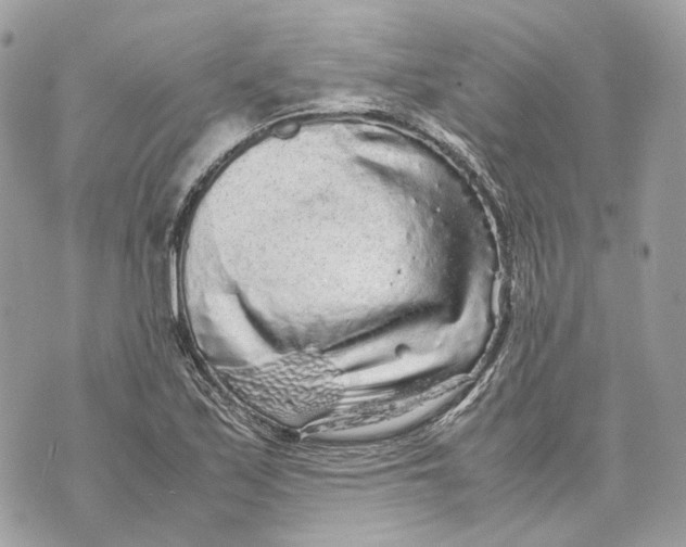 X0000070211171200606161634