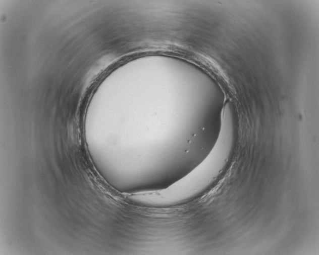 X0000070211172200606161634