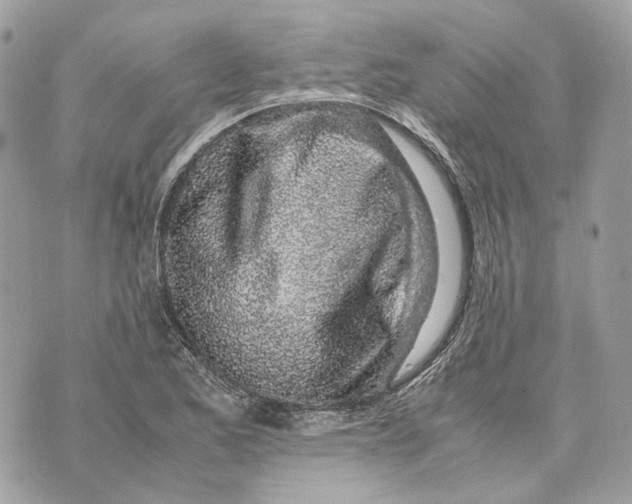 X0000070211173200606161634