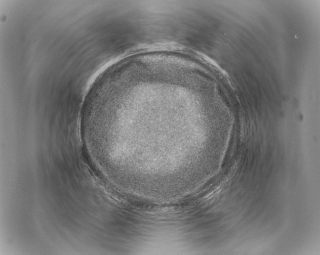 X0000070211174200606161634