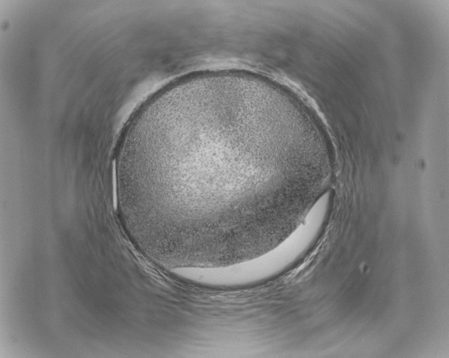 X0000070211175200606161634