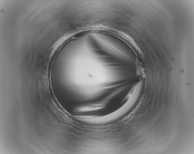 X0000070211176200606161634