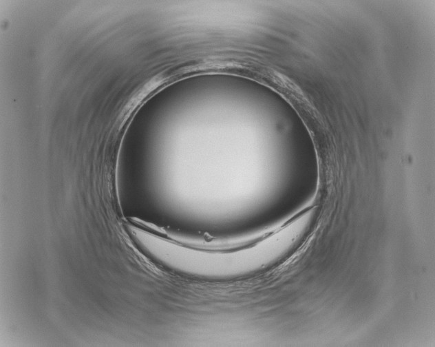 X0000070211177200606161634