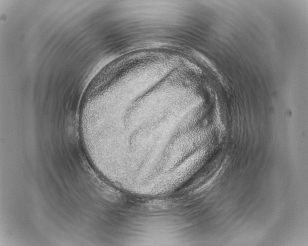 X0000070211178200606161634