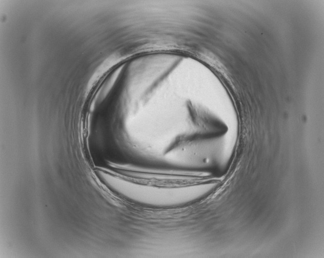 X0000070211179200606161634