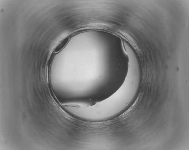 X0000070211180200606161634