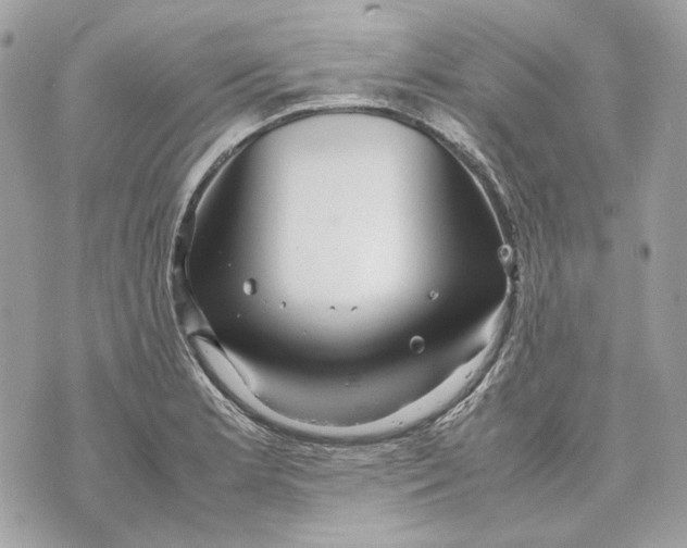 X0000070211181200606161634