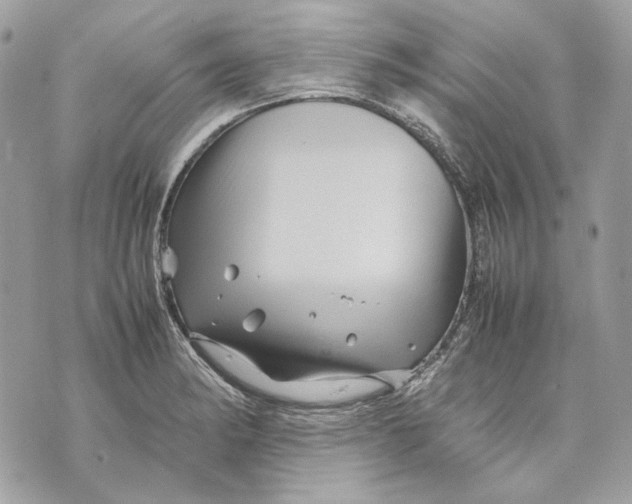 X0000070211182200606161634