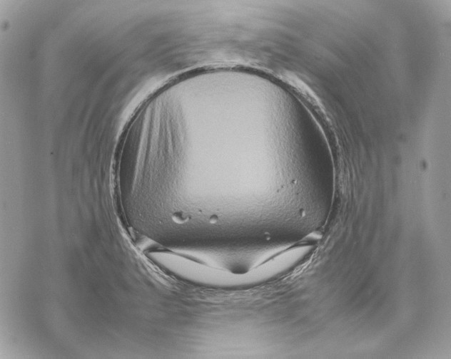 X0000070211183200606161634