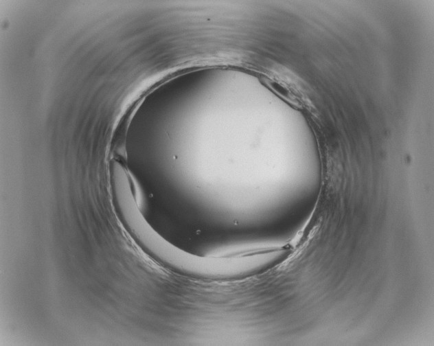 X0000070211184200606161634