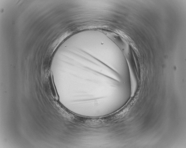 X0000070211185200606161634