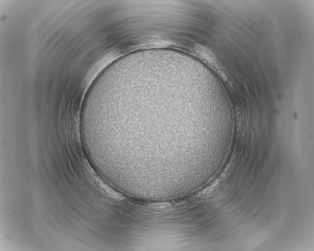 X0000070211186200606161634