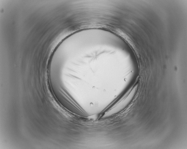 X0000070211187200606161634