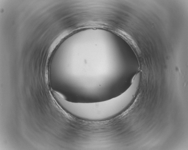 X0000070211188200606161634