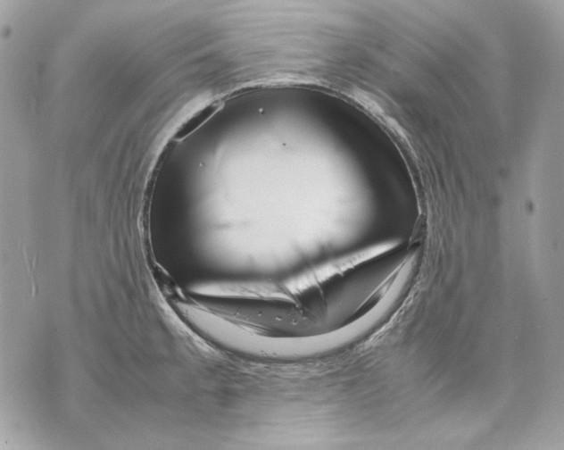 X0000070211189200606161634