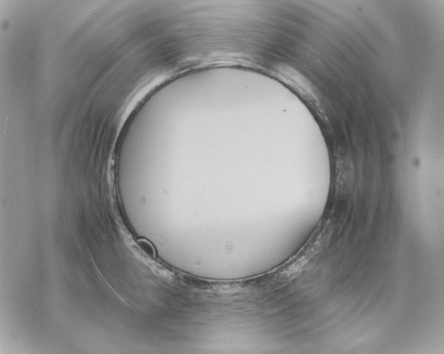 X0000070211190200606161634