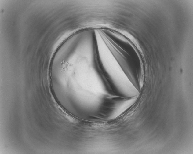 X0000070211191200606161634