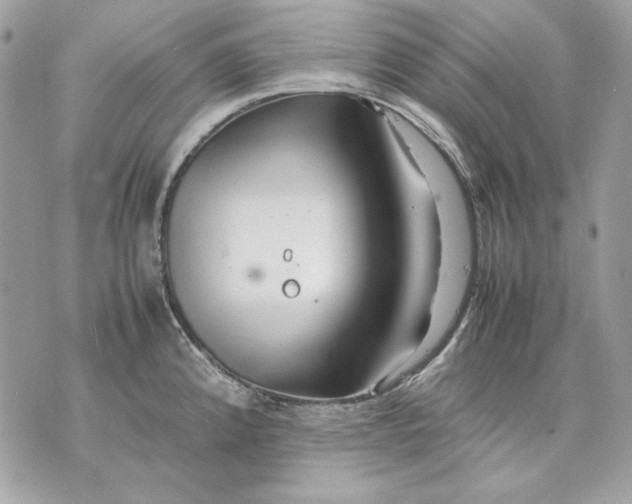 X0000070211192200606161634