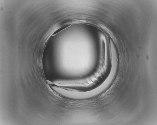 X0000070211193200606161634