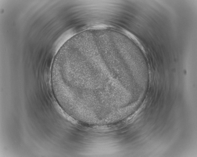 X0000070211194200606161634