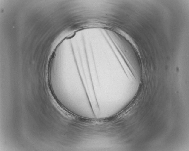 X0000070211195200606161634