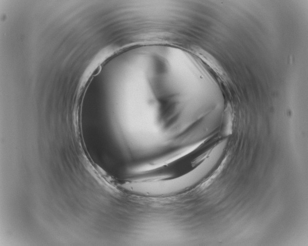 X0000070211196200606161634