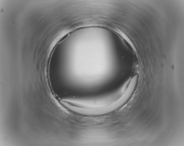 X0000070211197200606161634