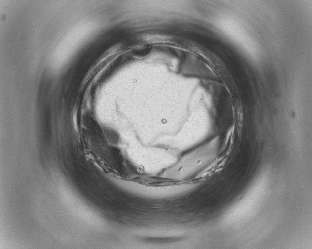 X0000070211198200606161634