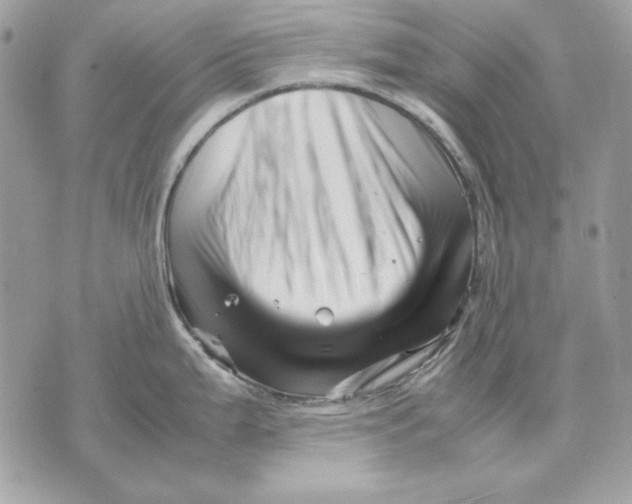 X0000070211199200606161634