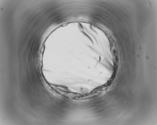 X0000070211200200606161633