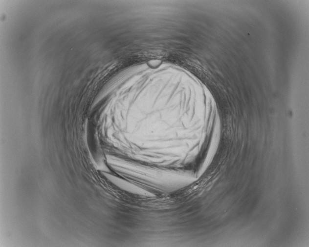 X0000070211201200606161633