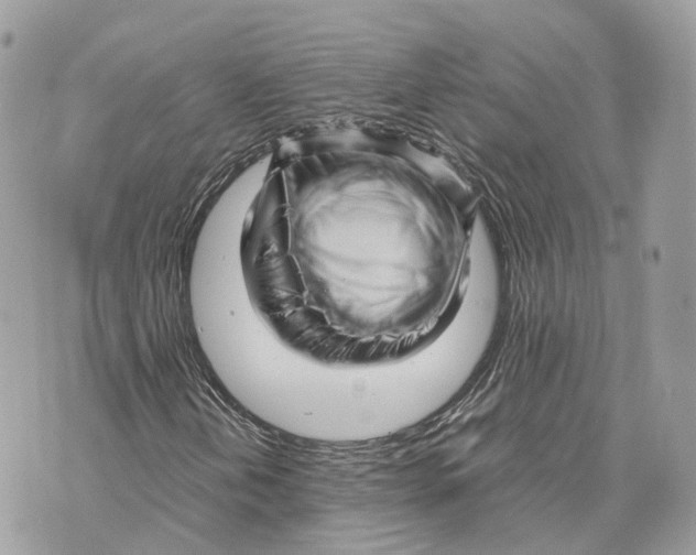 X0000070211202200606161633