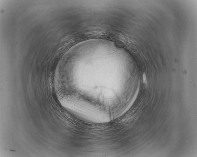 X0000070211203200606161633