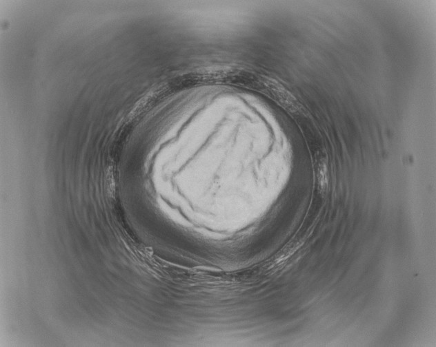 X0000070211204200606161633